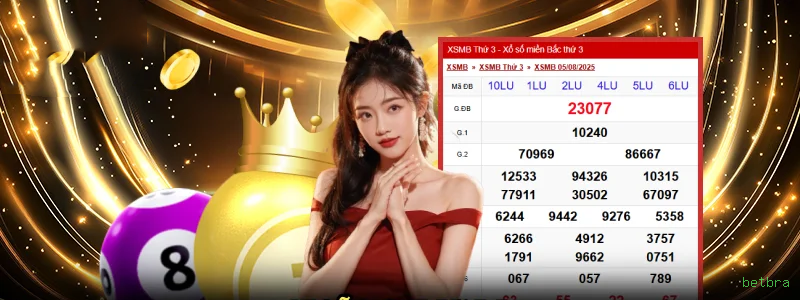 Cassino betbra app mobile